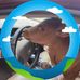 Aaron Henke - Facebook