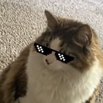 Aaron Herald - @aaronjherald - Instagram
