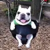 KyvzzZz - @aaron.heredia8 - TikTok