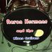 Aaron Hermann and the Blues Cruisers - Facebook