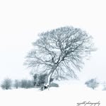 Aaron herring - @azzabhphotography - Instagram
