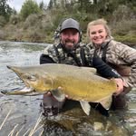 Aaron herring - @sticky_herring - Instagram