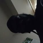 Aaron Herring - @aaron.herring.16 - Instagram