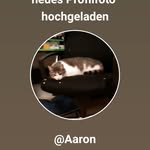 Aaron herrmann - @aron79086 - Instagram