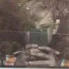 Aaron Herrmann - @aaron2ez - TikTok