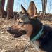 Aaron Hirsch - Facebook