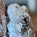 Aaron Heuss - Facebook
