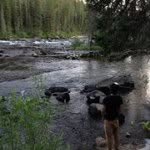 Aaron Heward - @aarohew - Instagram