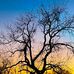 Aaron Highfill - Facebook
