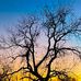 Aaron Highfill - Facebook