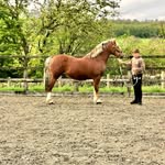 Aaron Hilton - @aaron.hilton.522 - Instagram