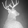 Aaron Hindman - @aaronhindman69 - TikTok