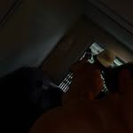 Aaron - @aaronhine_ - Instagram
