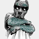 Aaron Hipes - @aaronhipes9 - Instagram