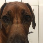 Aaron Hirschfeld - @knsti441 - Instagram