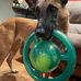 Aaron Hitt - Facebook