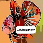 Aaron's Hobby - @aarons_hobby - Instagram