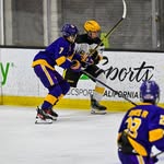 Aaron Lee - @aaron.hockey7 - Instagram