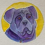Aaron Scott-Hodgin - @mr.shmakes - Instagram