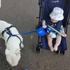 aaronhodgkinson87 - @aaronhodgkinson87 - TikTok