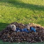 Aaron Hoefler - @hoefleraaron - Instagram