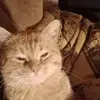 Aaron Hoff - @aaron.hoff88 - TikTok