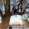 Aaron hoff - @aaronhoff908 - TikTok