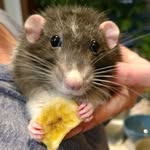 Aaron Hogeberg - @aaron_hogeberg - Instagram