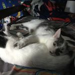 Aaron Holcomb - @holcomb1875 - Instagram