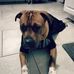 AAron Holcomb - Facebook