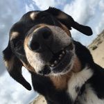 Aaron Holcomb - @emailaaron2day - Instagram