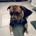 AAron Holcomb - @annerholcomb12 - Instagram