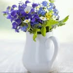 Flowers - @aaronholding96 - Instagram