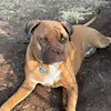 Aaron Hollen Ace - @aaron.hollen.ace - TikTok