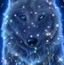 Ann Hollenbeck - Facebook