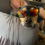 Aaron Hosking - @aaronhosking - Instagram