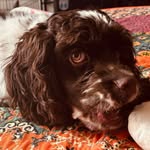 Aaron Howlett - @airgrey77 - Instagram