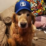 Aaron Hudlow - @misterhudlow - Instagram