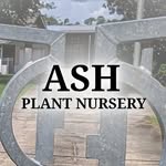 Aaron Hudnall - @ash_plantnursery - Instagram