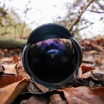 Aaron Hudnall - @insectiview - Instagram