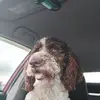 Arron Huffine - @arron.huffine - TikTok