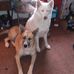 Aaron Hufford - Facebook