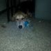 Aaron Hullett - Facebook