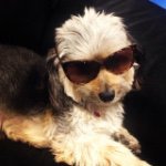 @aaron_hultgren - Instagram