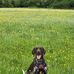 Aaron Hume - Facebook