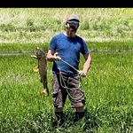 Aaron Humeston - @aaron_humeston - Instagram