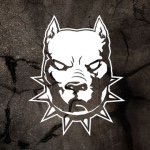 Aaronhunsaker - @aaronhunsaker_70 - Instagram