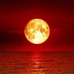 Aaron Hurwitz - @aaronfx96 - Instagram