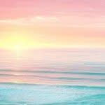 Aron Husebø - @aronhusebo - Instagram