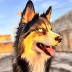 Aaron 🐺 - @aaron.husky.pzo - Instagram